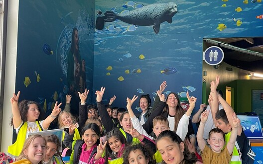 Uitstap Sealife en het strand