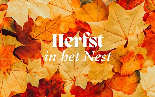 Herfst in het Nest