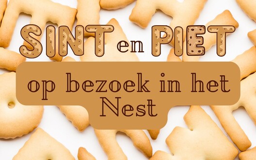 Sint en Piet op bezoek in ons Nest