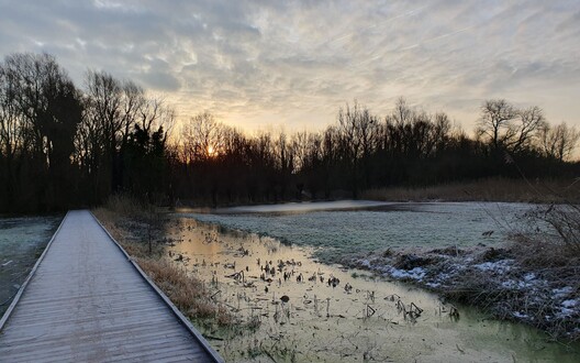 winterwandeling