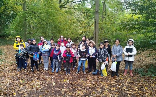 naar het bos