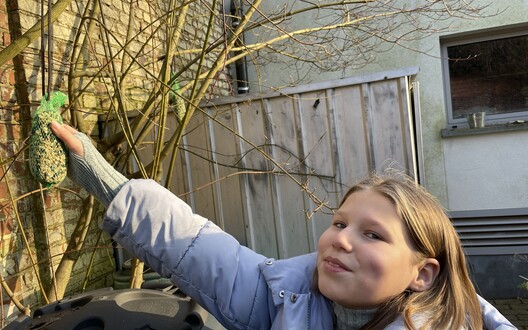 Vogels in de winter