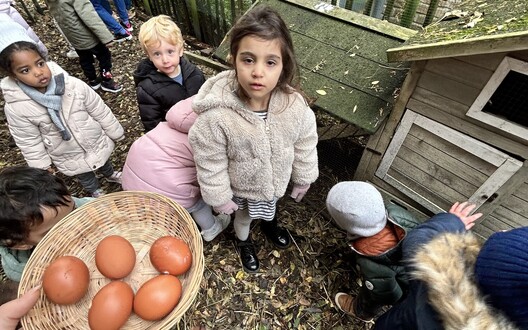 Kippen en eitjes