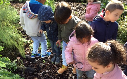 op zoek in de tuin