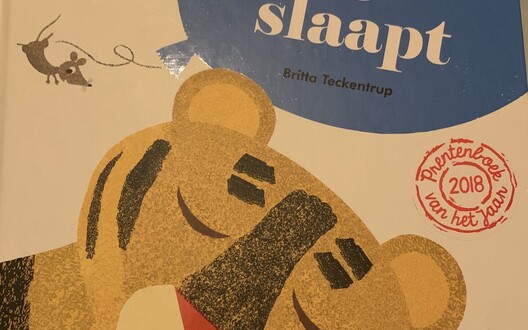 Foto van het boek 'Ssst! De tijger slaapt