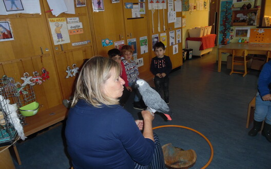  Katrien bracht haar papegaai mee, hij kan ook een beetje praten!