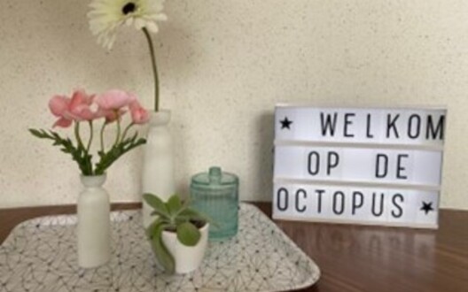 Welkom op de Octopus