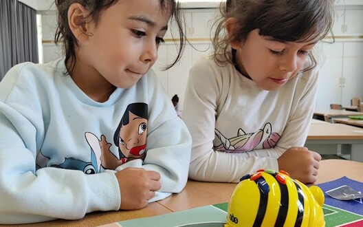 Werken met de beebots