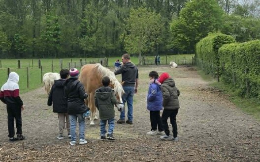 kinderboederij