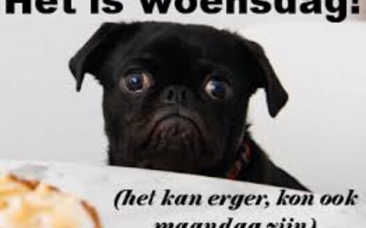 woensdag