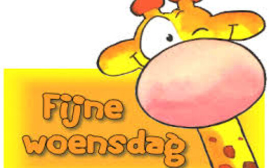 woensdag