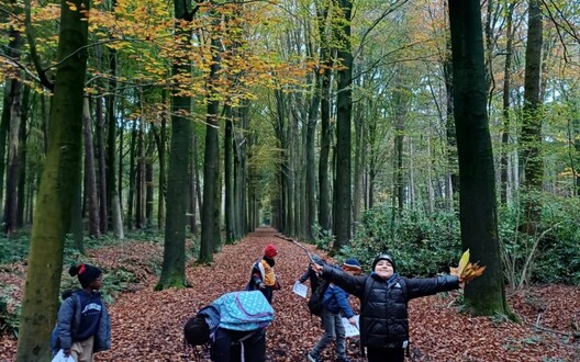 Bosactiviteiten met de onderbouw.