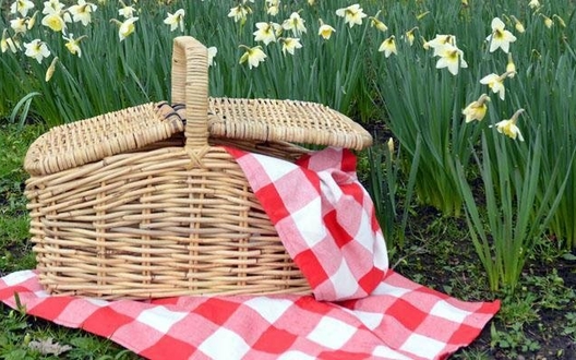 Foto's picknick