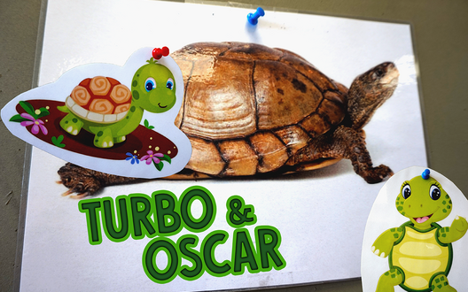 Turbo en Oscar