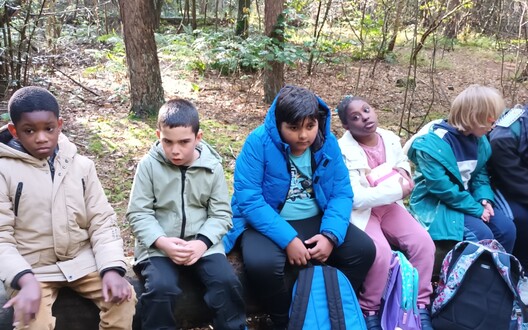 Op stap in de Lembeekse bossen.