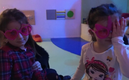 De meisjes met de roze brillen.