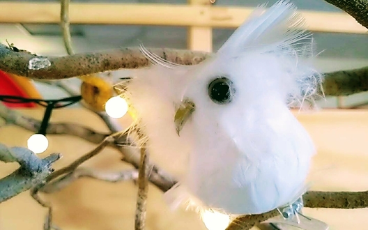 witte vogel