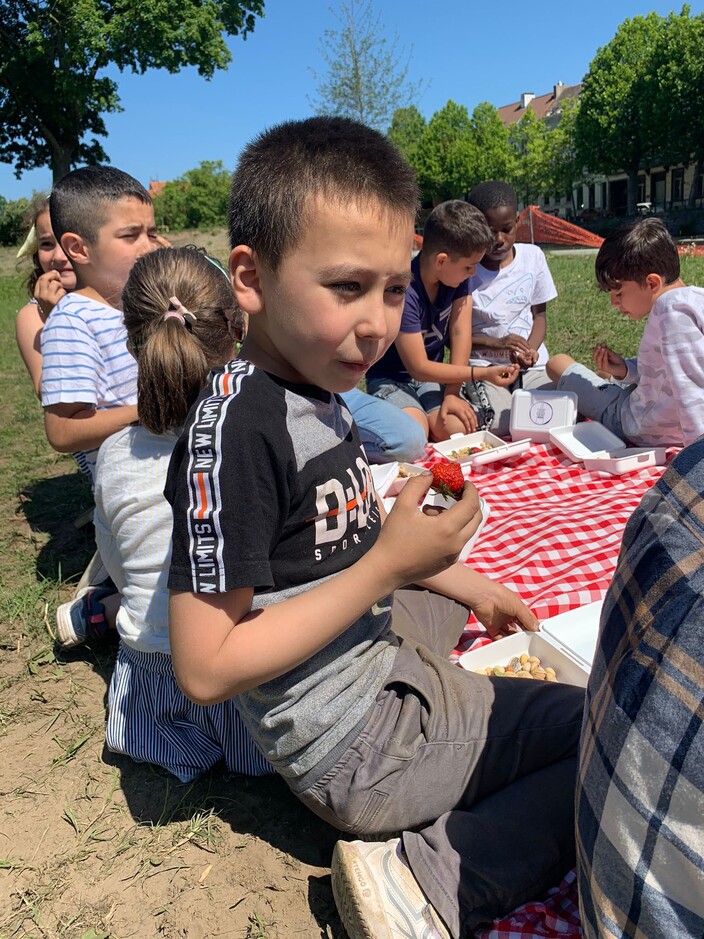 Picknicken in het Baudelopark