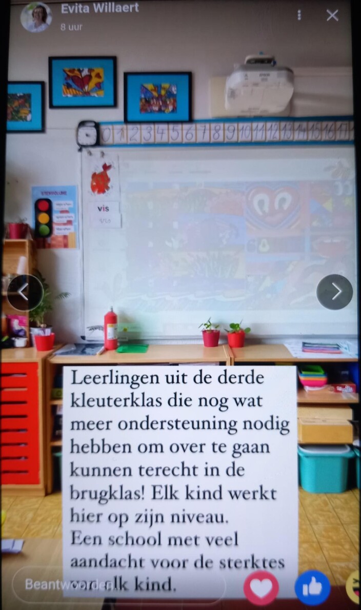 de schepen van onderwijs