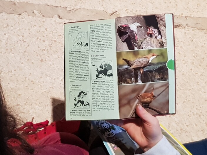 Boekje over vogels