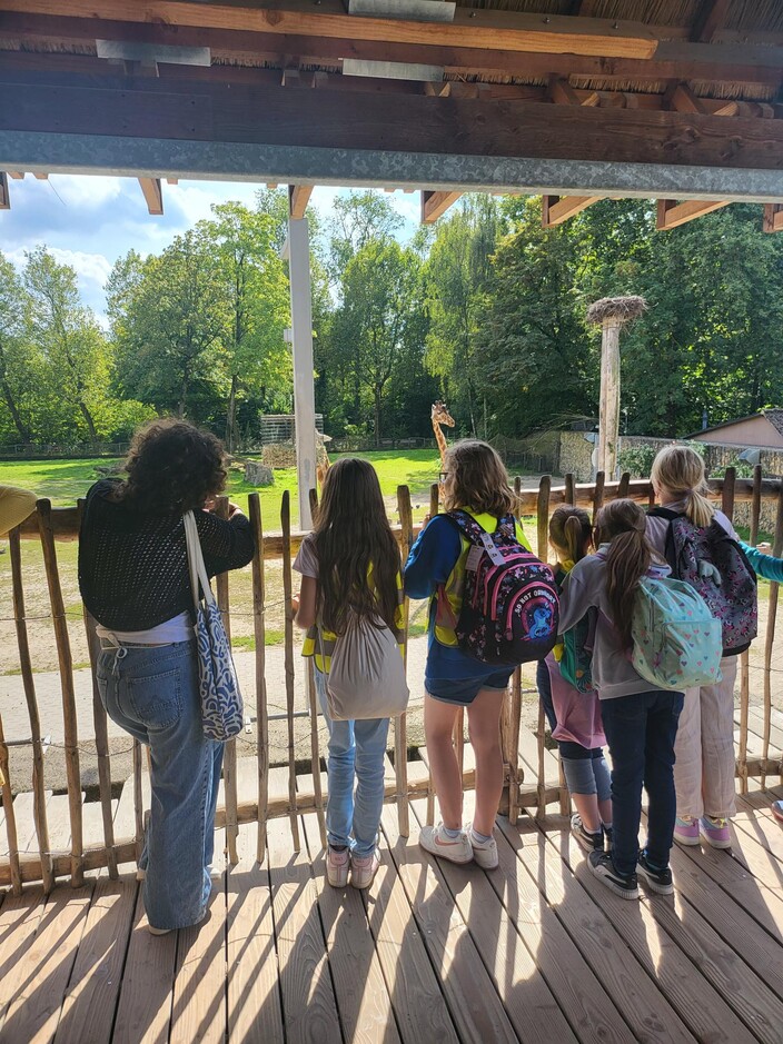 De leerlingen kijken geboeid naar de giraffen vanop een platform.