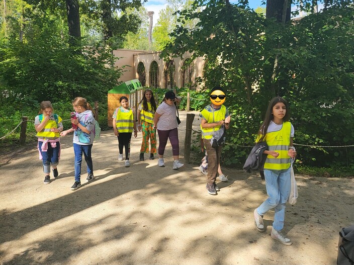 De leerlingen wandelen door de zoo op deze zonnige dag.