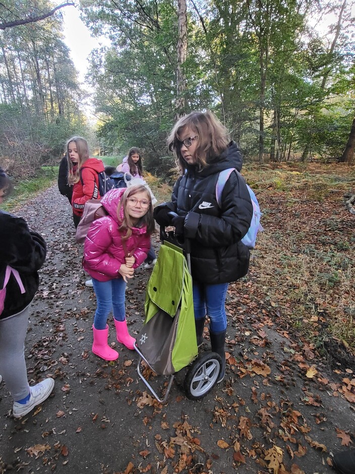 De Week Van Het Bos