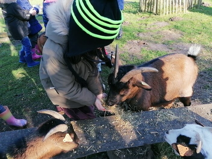 Naar de boerderij