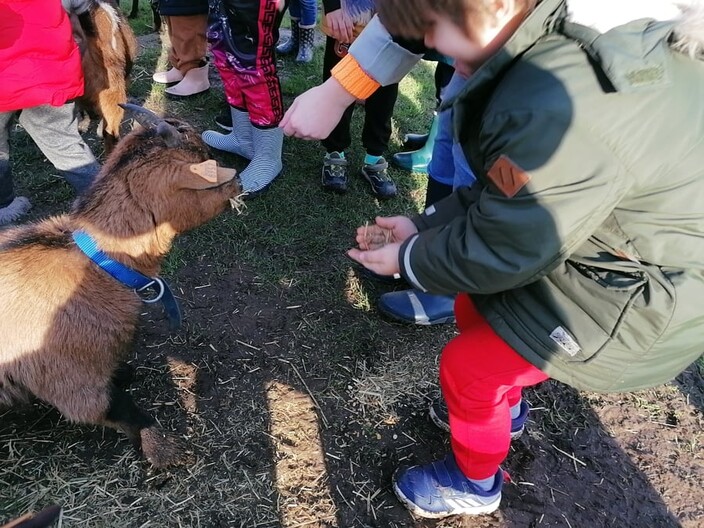 Naar de boerderij