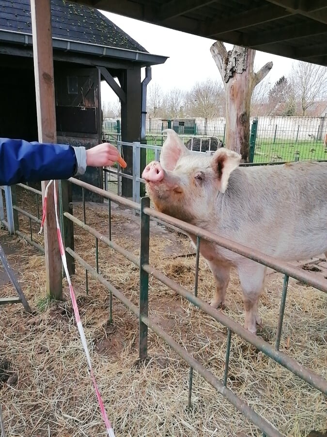 Naar de boerderij