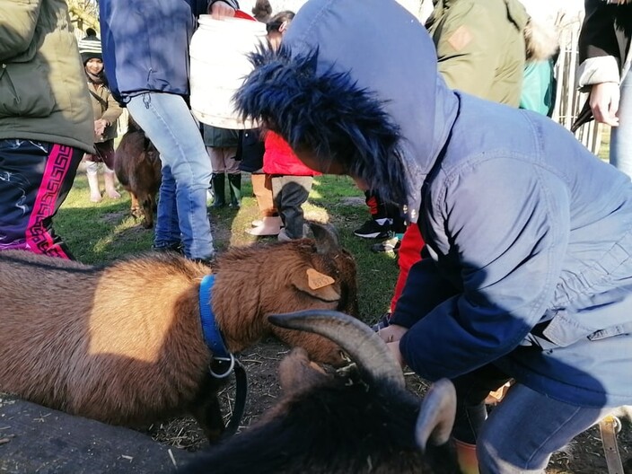 Naar de boerderij