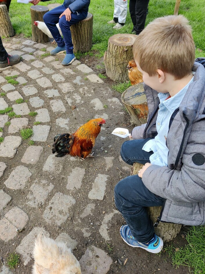 Naar de boerderij.