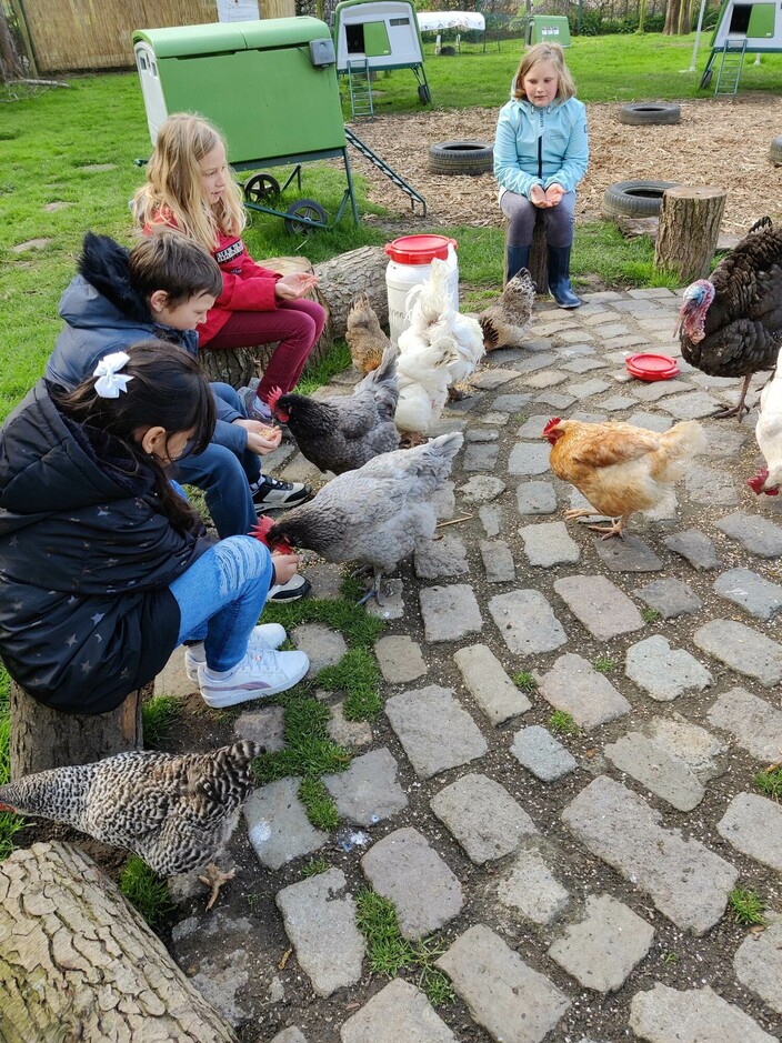 Naar de boerderij.