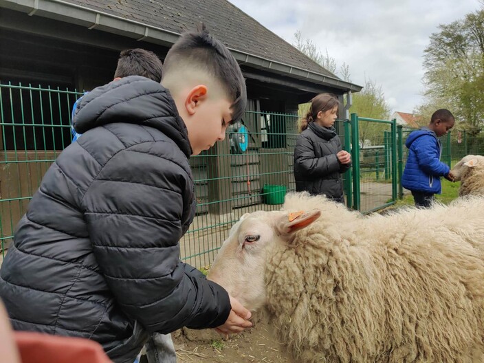 Naar de boerderij.