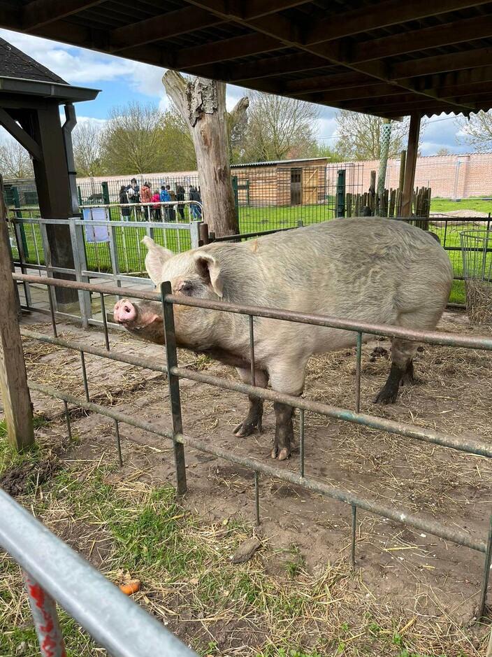 Naar de boerderij.