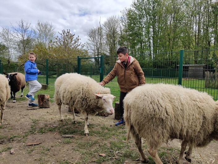 Naar de boerderij.