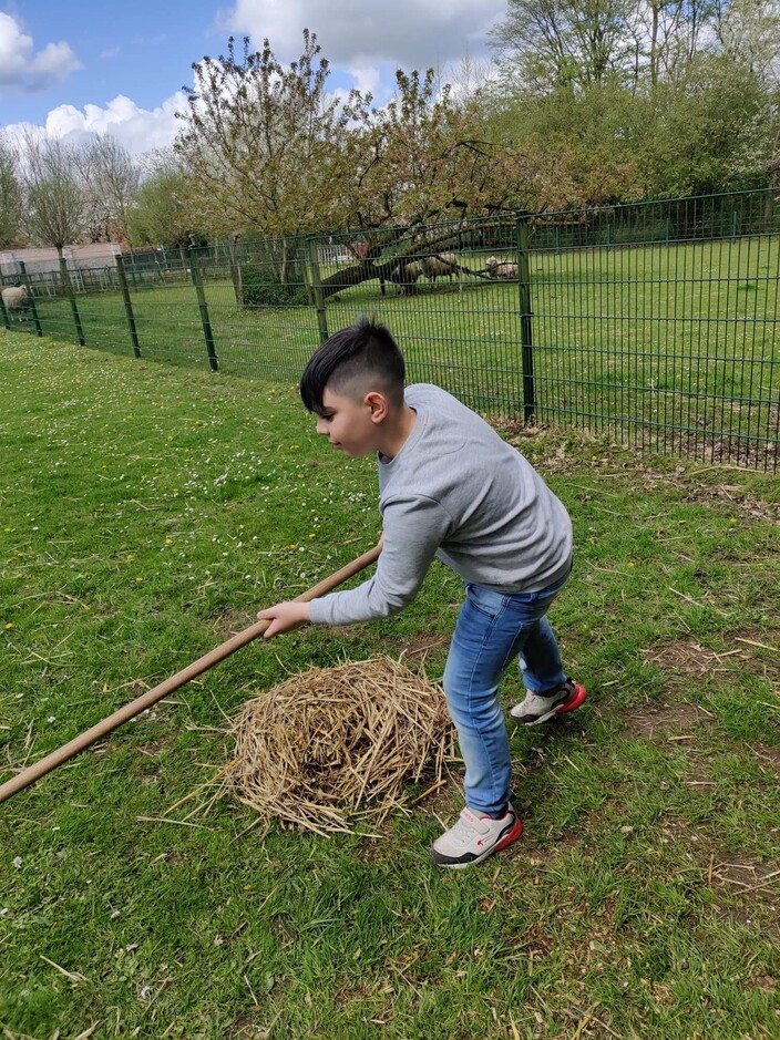 Naar de boerderij.