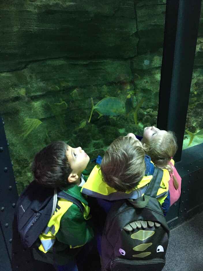 kinderen bij aquarium
