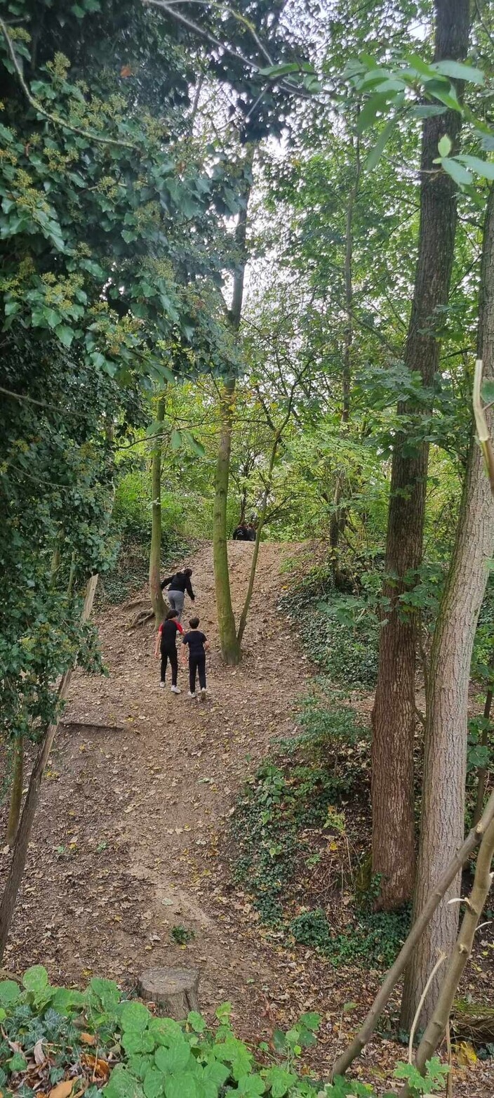 de week van het bos