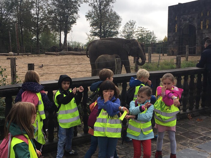 kinderen bij olifant