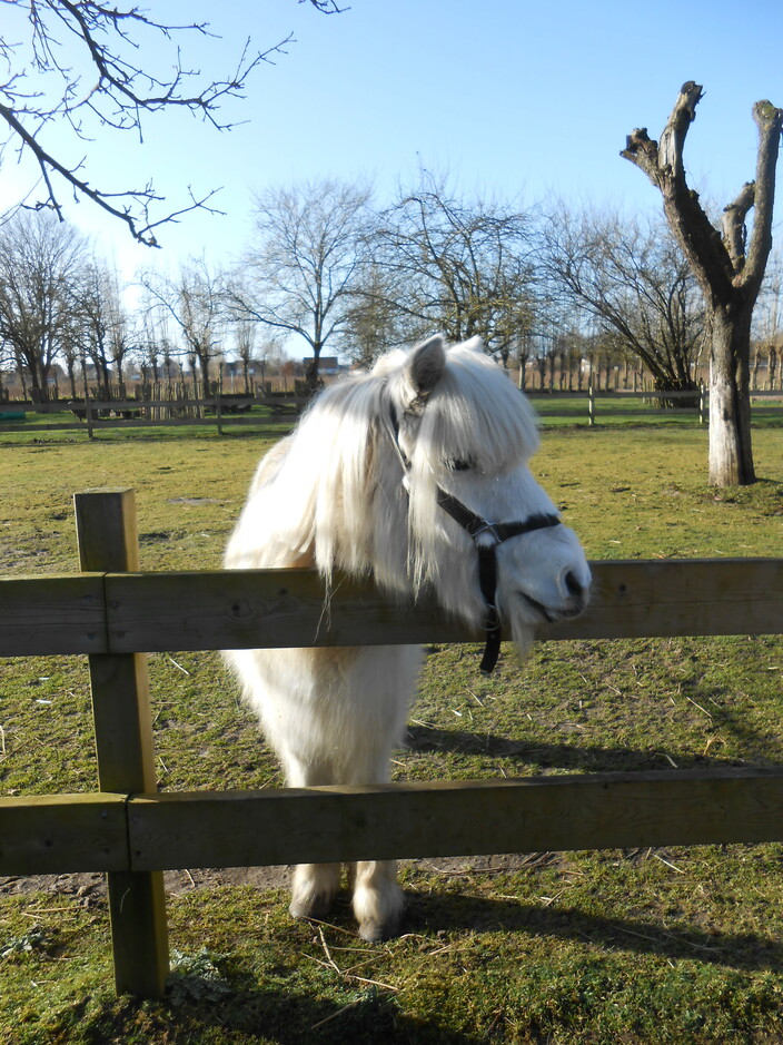 boerderij