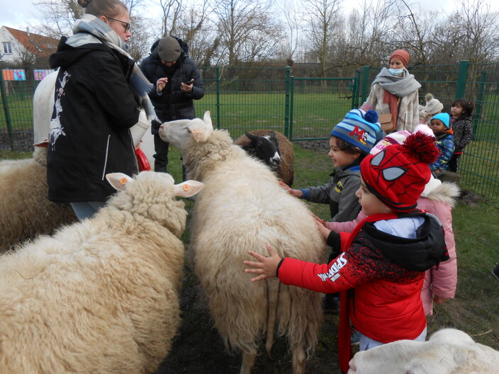 boerderij