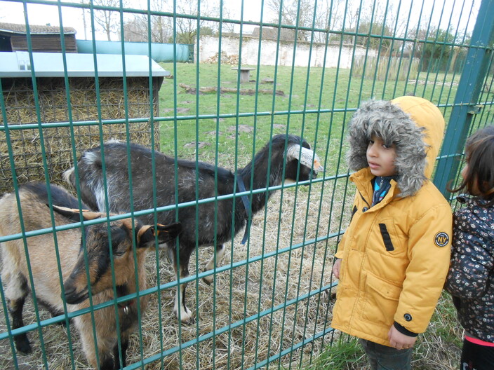 boerderij