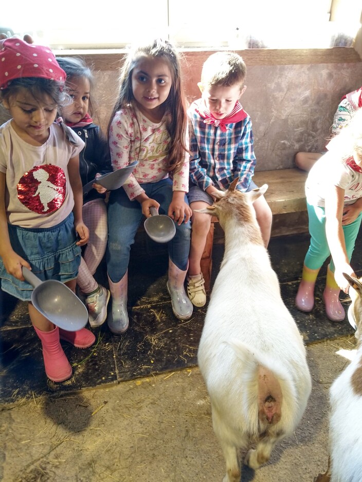 Uitstap naar de boerderij