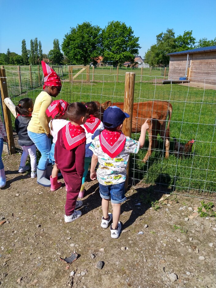 Uitstap naar de boerderij