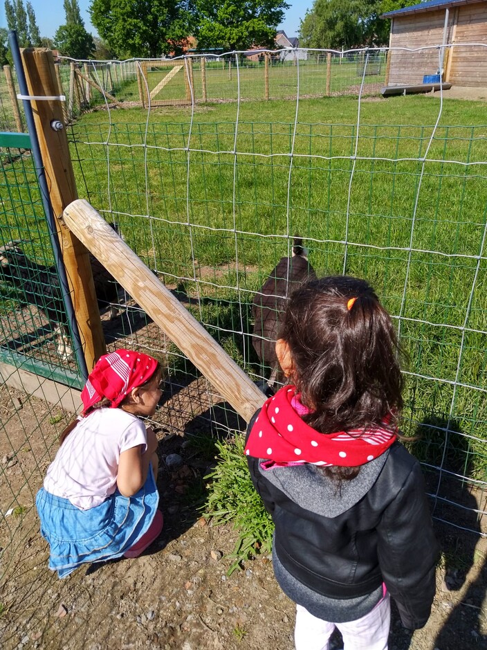 Uitstap naar de boerderij