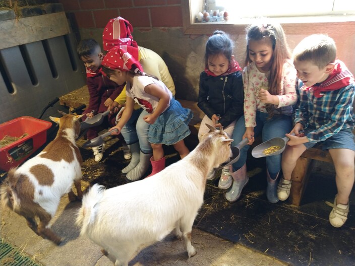 Uitstap naar de boerderij