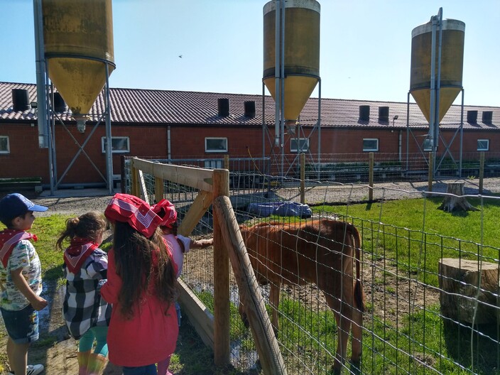 Uitstap naar de boerderij