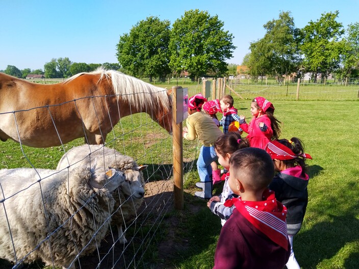 Uitstap naar de boerderij