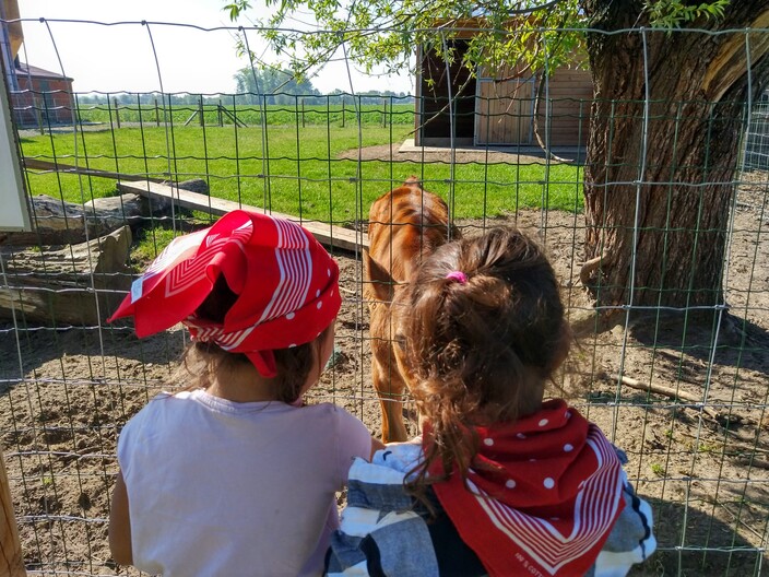 Uitstap naar de boerderij